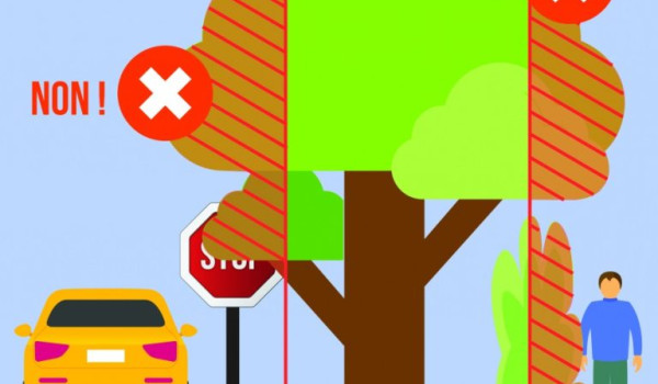 Empi&eacute;tement des v&eacute;g&eacute;taux sur la voie publique