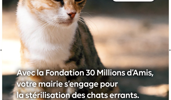 Convention avec la Fondation 30 Millions d'Amis 